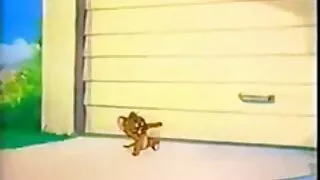 คัลสโคปาตา วีดีโอ หนัง โป้