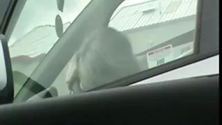 สมัครเล่น,คู่,อมควย,กระตุก, วีดีโอ หนัง โป้